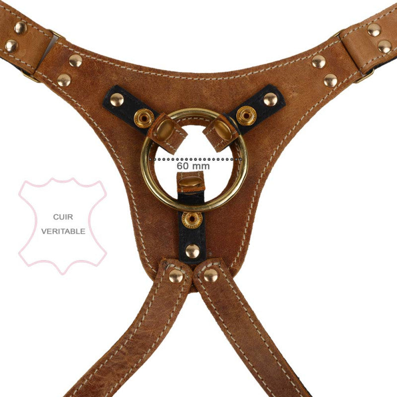 Harnais Cuir Marron