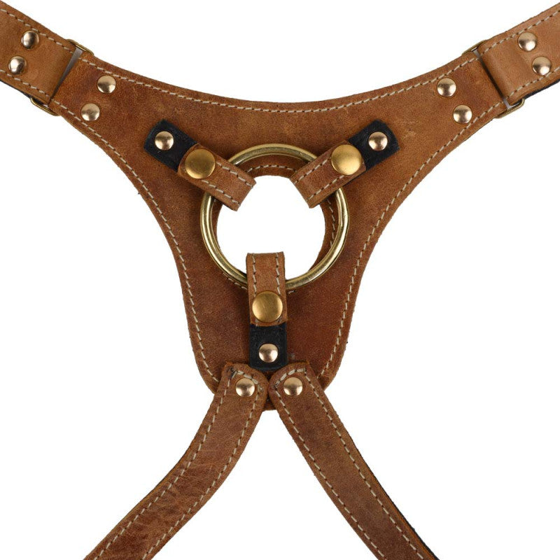 Harnais Cuir Marron