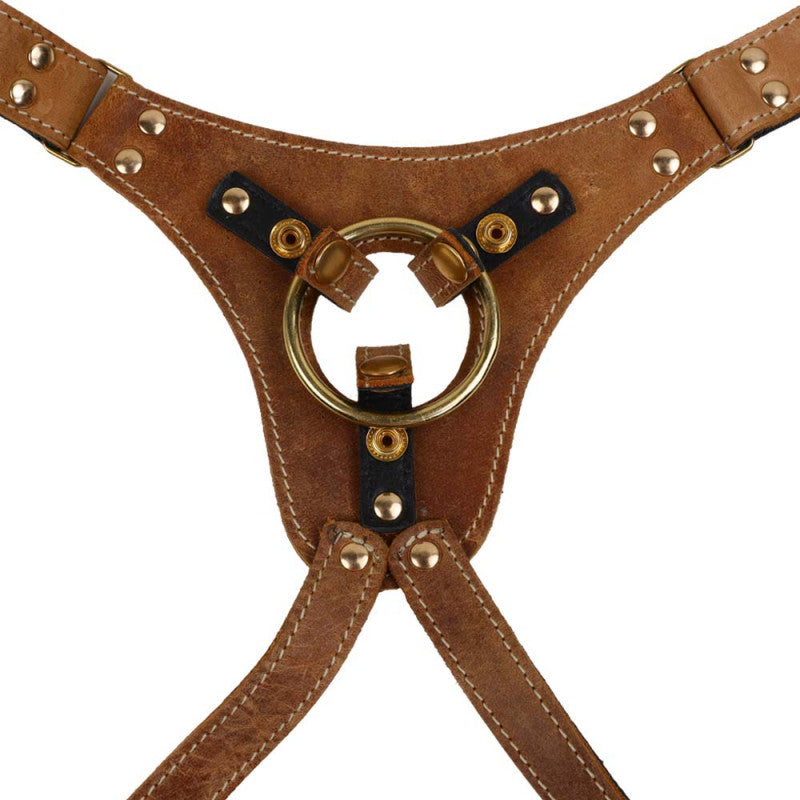 Harnais Cuir Marron
