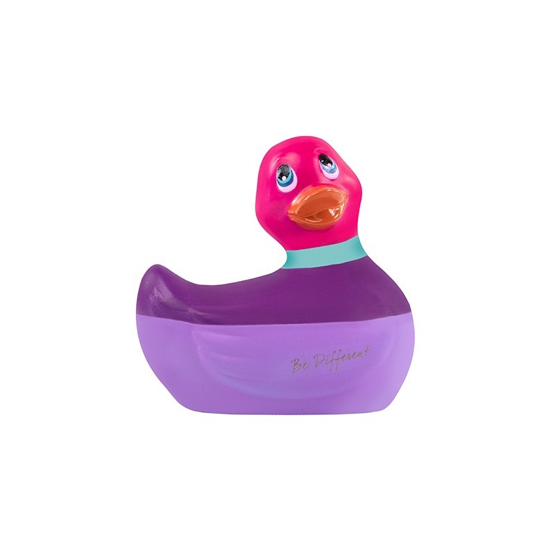 Canard Vibrant Colors Rose
