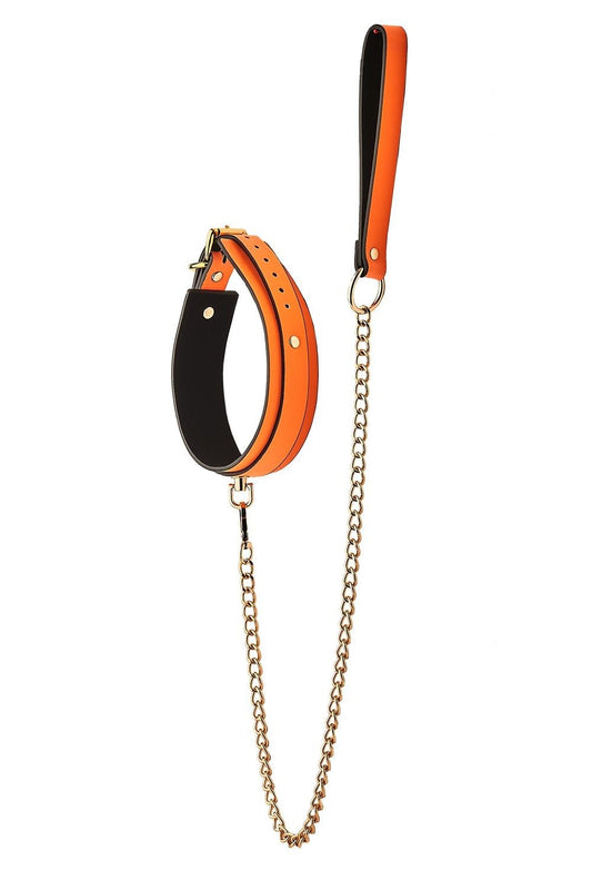 Collier et Laisse Phosphorescent Orange