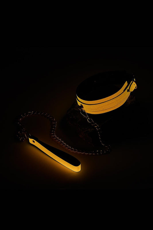 Collier et Laisse Phosphorescent Orange
