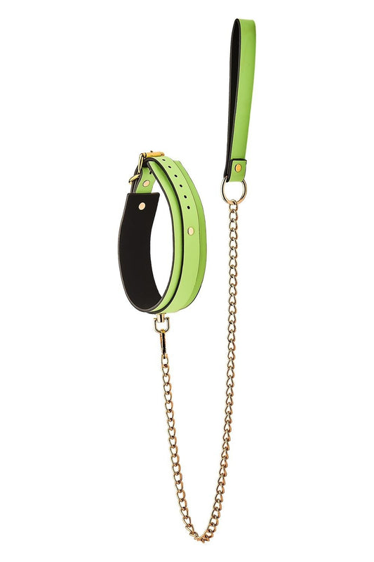 Collier et Laisse Phosphorescent Vert