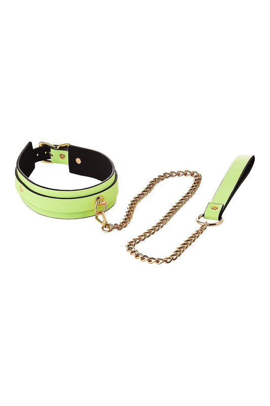 Collier et Laisse Phosphorescent Vert