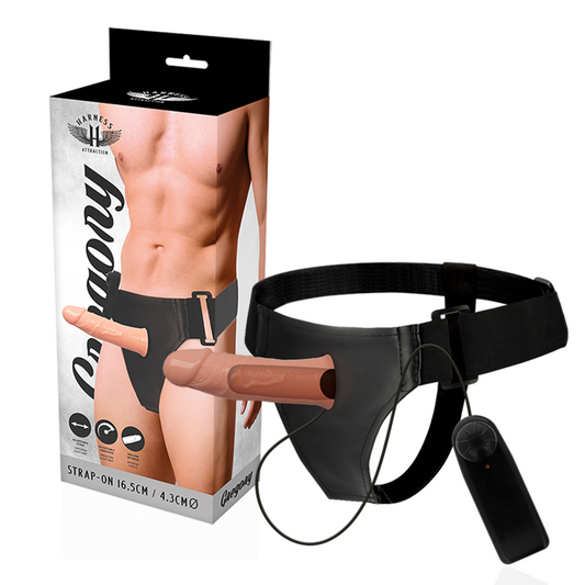 Harness Attraction - Gregory Hollow Rnes Avec Vibrateur 16.5 Cm -O- 4.3 Cm - HARNESS ATTRACTION | sextoys, jouets sexuels pour hommes, accessoires de pénis, extenseur de pénis avec harnais | Dimensions : 434