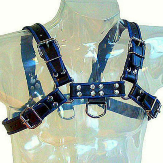 Leather Body - Harnais En Cuir Bleu Et Noir Poitrine Bulldog